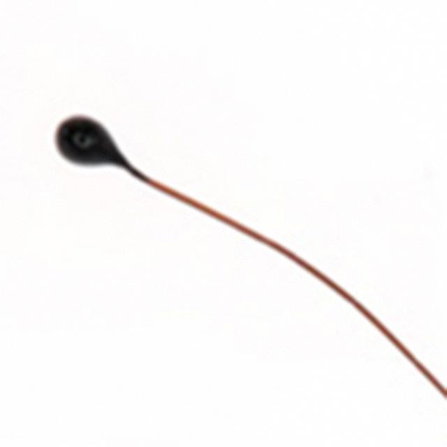 Picture of MC65F103B