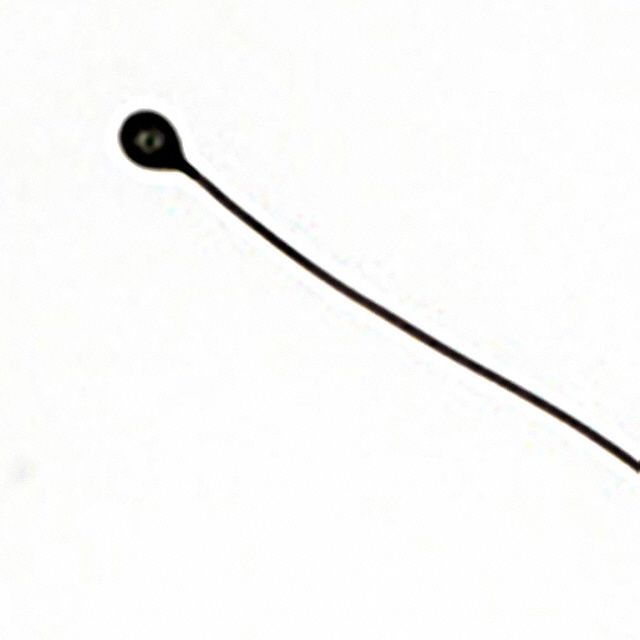 Picture of MC65F103C