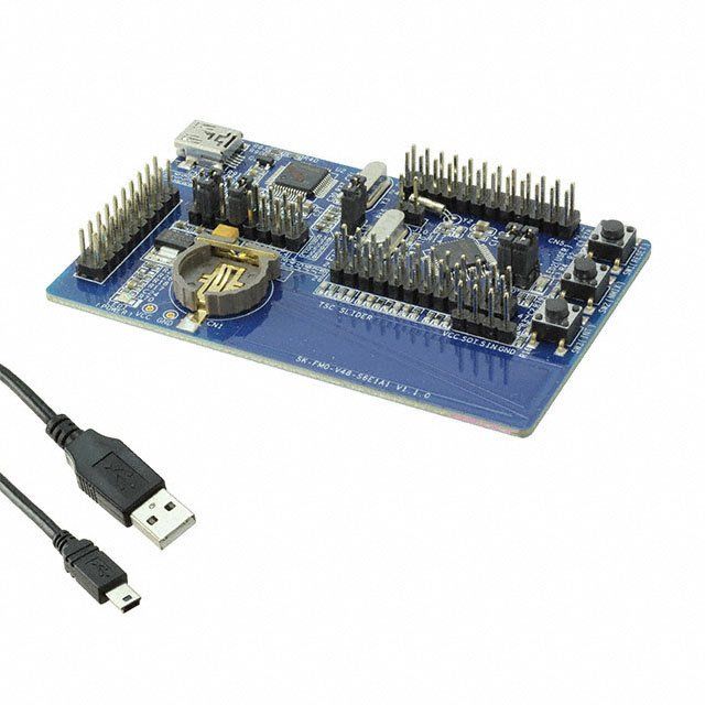 Picture of SK-FM0-V48-S6E1A1