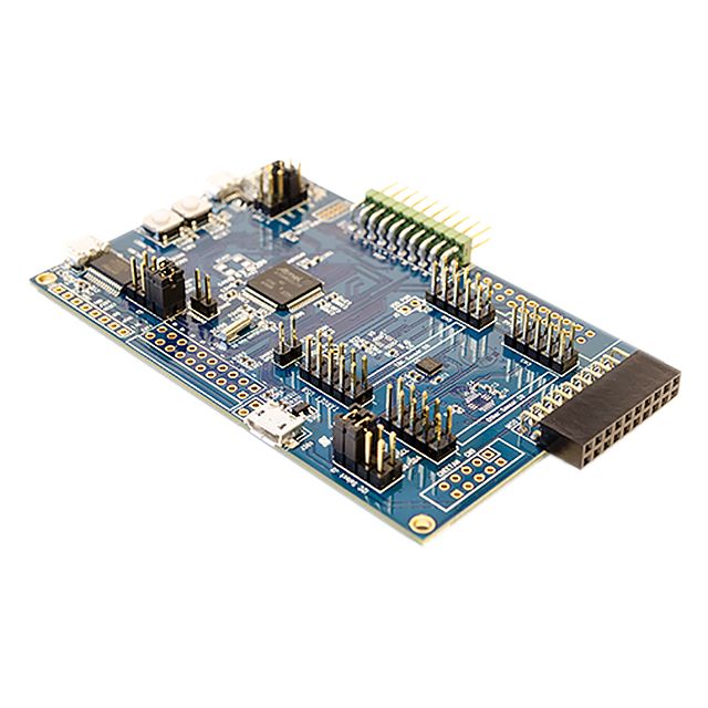 Picture of DK-20648