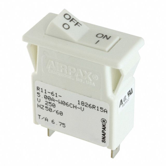 Picture of R11-61-5.00A-W06CH-V  