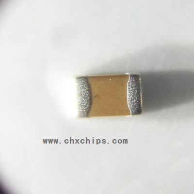 Picture of CL21F106ZP