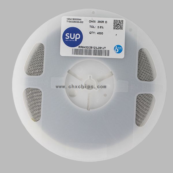 Picture of RR6432(2512)L391JT