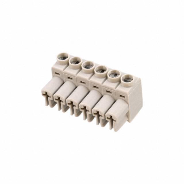 Picture of 691385700006