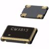 Picture of CWX813-060.0M
