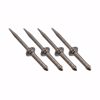Picture of PACC-PT002